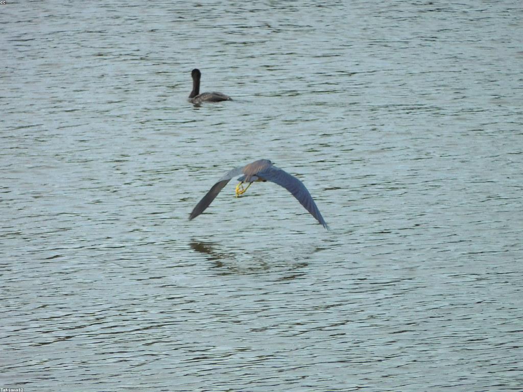 គន្លឹះដំណើរកំសាន្តសម្រាប់អ្នកដំណើរថ្មី