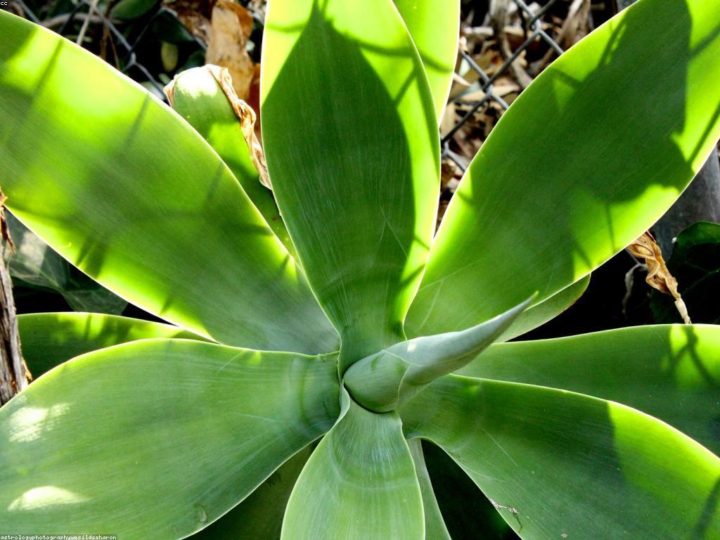 គន្លឹះដំណើរកំសាន្តសម្រាប់អ្នកដំណើរថ្មី