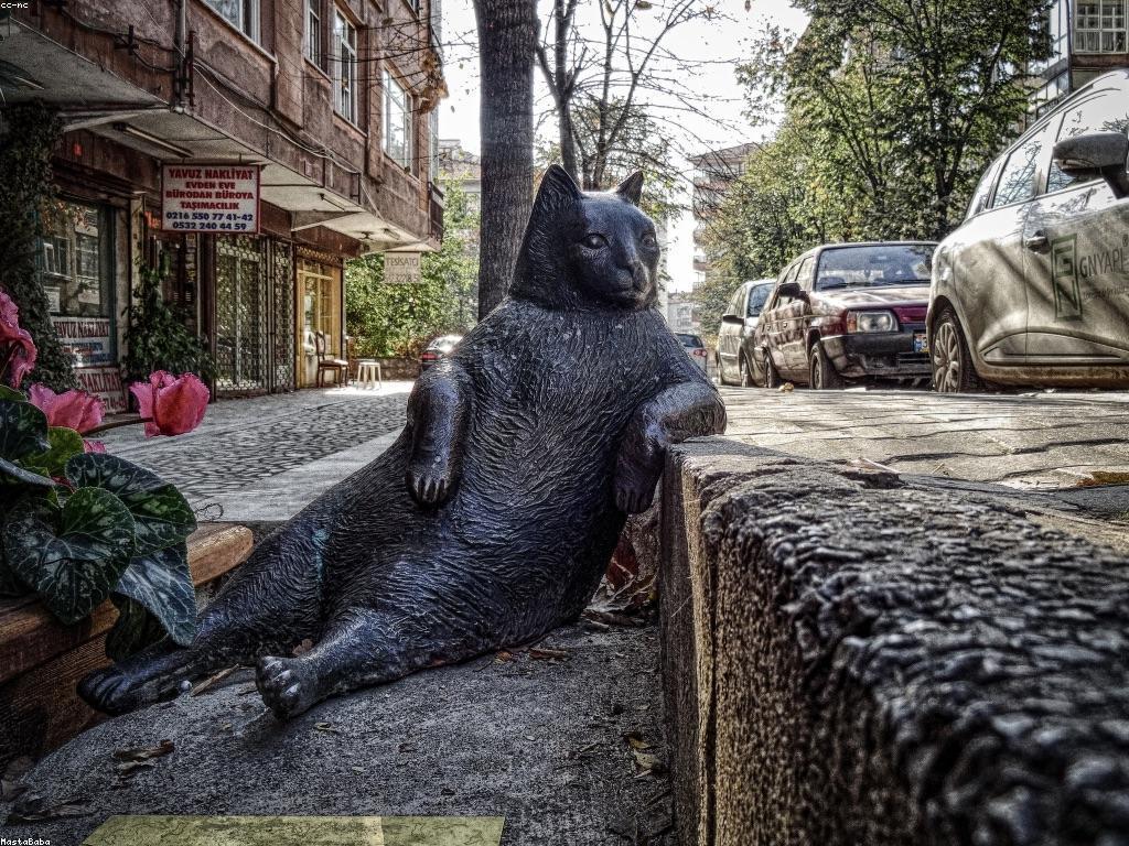 ការជ្រាបចិត្តវិទ្យានៃម៉ាស៊ីនស្លុត